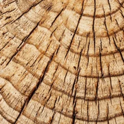 Indoor/Outdoor Faux Concrete Stump Accent Table Brown - Threshold™ Designed With Studio McGee -Home Series GUEST 03deabfd 2b62 4725 94b4 09a321ea8678