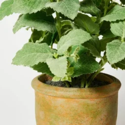 Artificial Potted Mint Leaf - Threshold™ Designed With Studio McGee 7 Artificial Potted Mint Leaf - Threshold™ Designed With Studio McGee -Home Series GUEST 19a08200 78b7 461e bcd9 c962450d4305