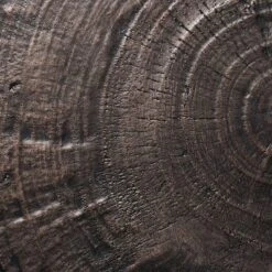 Grantsville Drum Accent Table Black - Threshold™ Designed With Studio McGee 10 Grantsville Drum Accent Table Black - Threshold™ Designed With Studio McGee -Home Series GUEST 2a48e59f 9a1e 4d95 a641 6710dbd36ebe