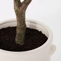 76.5"x 30" Artificial Olive Tree In Ceramic Pot - Threshold™ Designed With Studio McGee -Home Series GUEST 5f1c0b63 d965 4bfb 9559 6084dae15f92