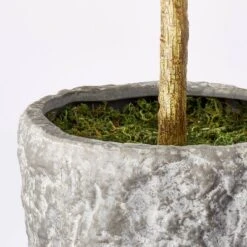 Banyan Tree Potted - Threshold™ Designed With Studio McGee 8 Banyan Tree Potted - Threshold™ Designed With Studio McGee -Home Series GUEST 7c945569 ea6c 4192 94d5 6530a4bfd2d3