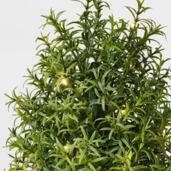 Rosemary Pre-Lit Christmas Arrangement - Threshold™ Designed With Studio McGee -Home Series GUEST d61496a2 bfd3 47bf 9a0b 983148caec20