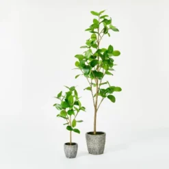 Banyan Leaf Potted Tree - Threshold™ Designed With Studio McGee 9 Banyan Leaf Potted Tree - Threshold™ Designed With Studio McGee -Home Series GUEST e0836b00 df5f 43ba bf4c e16aa35005ea