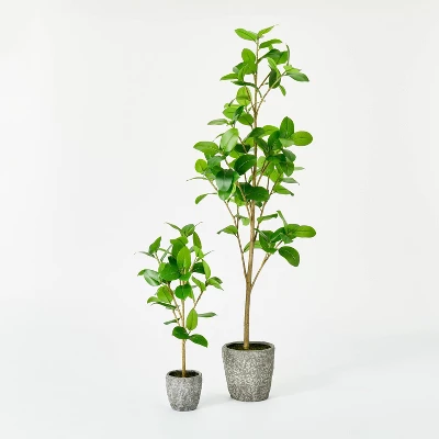 Banyan Leaf Potted Tree - Threshold™ Designed With Studio McGee 6 Banyan Leaf Potted Tree - Threshold™ Designed With Studio McGee - Image 4